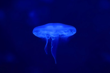 Similar image 6648163