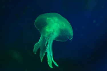 Similar image 6648170