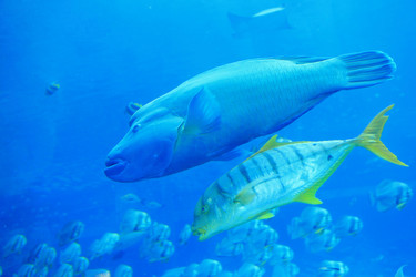 Similar image 6648171