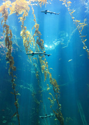 Similar image 6648177