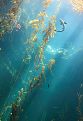 Similar image 6648179