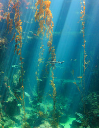 Similar image 6648184