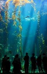 Similar image 6648186