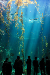 Similar image 6648187