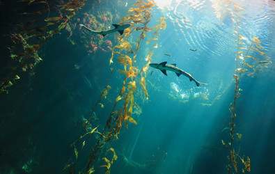 Similar image 6648188