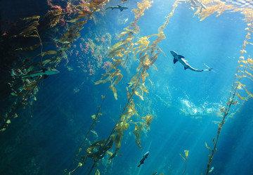 Similar image 6648189