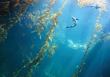 Similar image 6648190