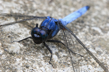 Similar image 6648195