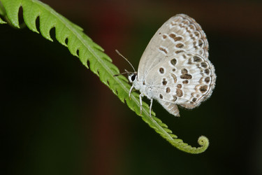 Similar image 6648198