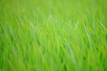 Similar image 6648217