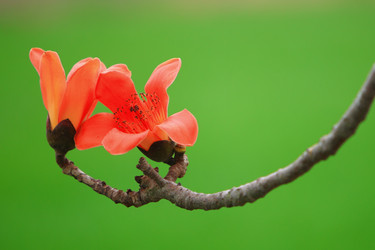 Similar image 6648219