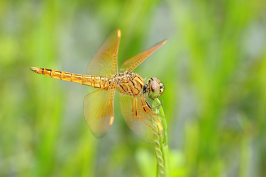 Similar image 6648223