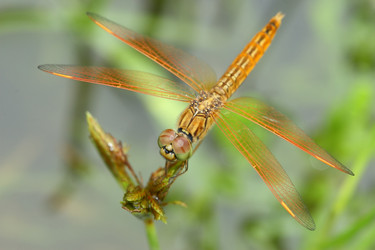 Similar image 6648224