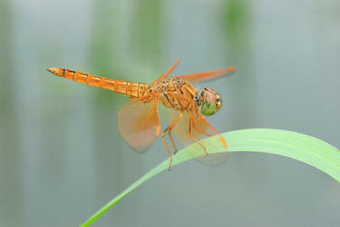 Similar image 6648226