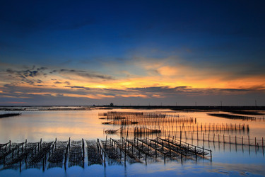 Similar image 6648230