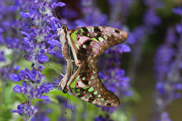 Similar image 6648275