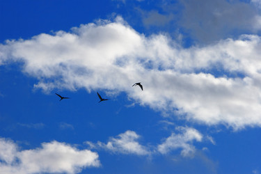 Similar image 6648276