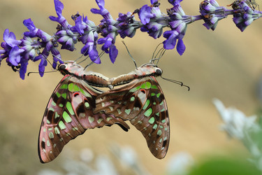 Similar image 6648277