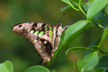 Similar image 6648279