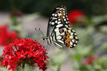 Similar image 6648289