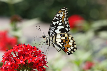 Similar image 6648290