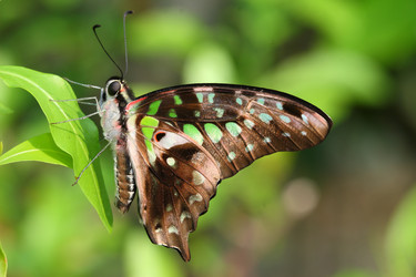 Similar image 6648291