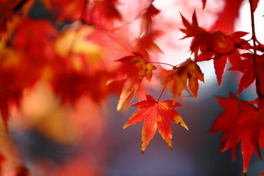 Similar image 6648294