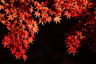 Similar image 6648299