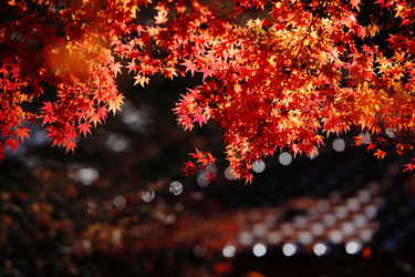 Similar image 6648300