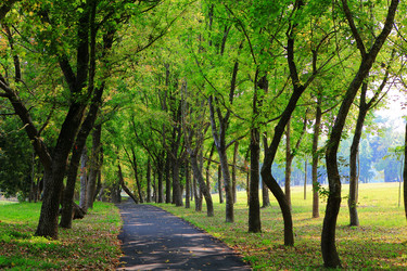 Similar image 6648301