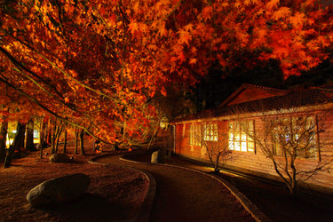 Similar image 6648302