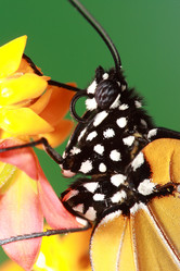 Similar image 6648317