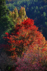 Similar image 6648318