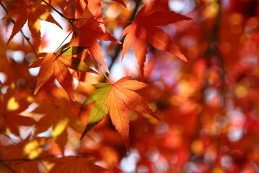 Similar image 6648325