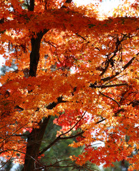 Similar image 6648329