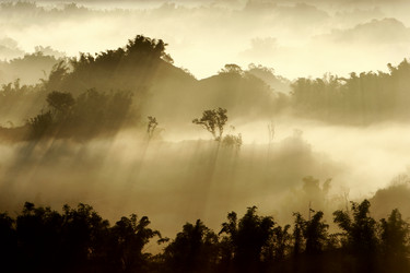 Similar image 6648331