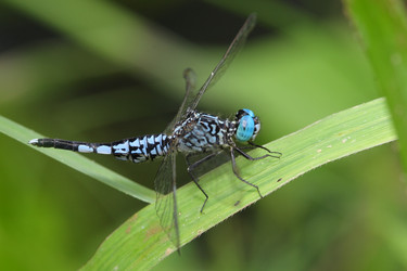 Similar image 6648339