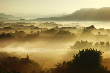 Similar image 6648347