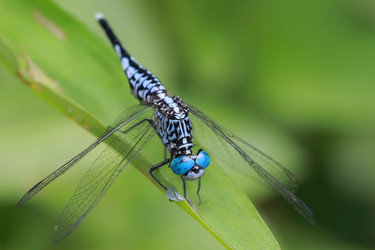 Similar image 6648351