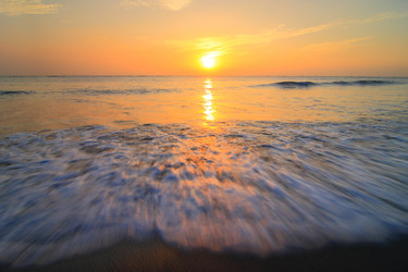 Similar image 6648352