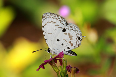 Similar image 6648359