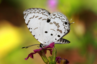 Similar image 6648360