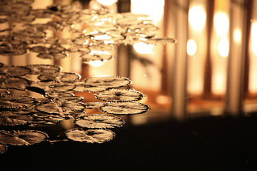 Similar image 6648368