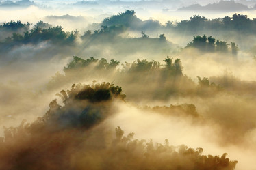 Similar image 6648373