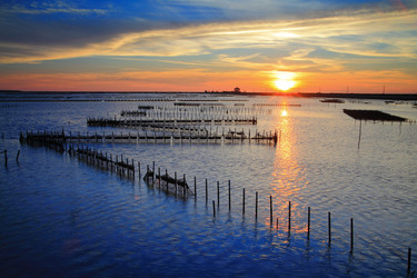 Similar image 6648380