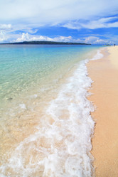 Similar image 6648384