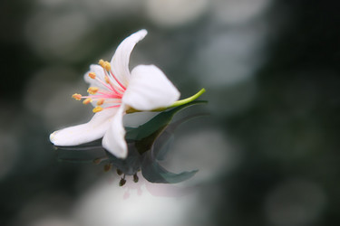 Similar image 6648389