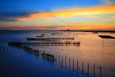 Similar image 6648391