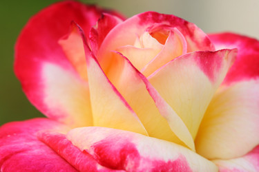 Similar image 6648397