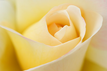 Similar image 6648399